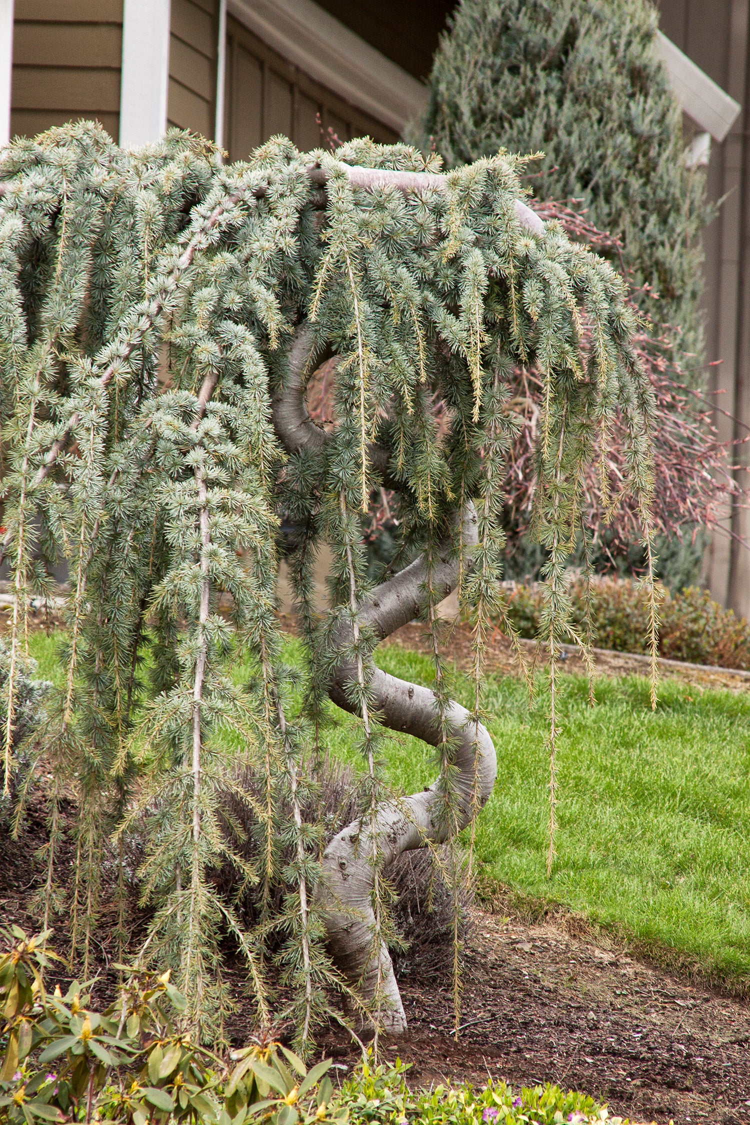 Miniature 2