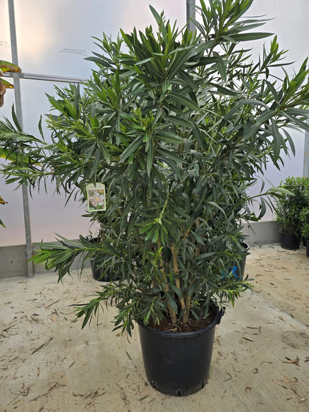Image du produit 22